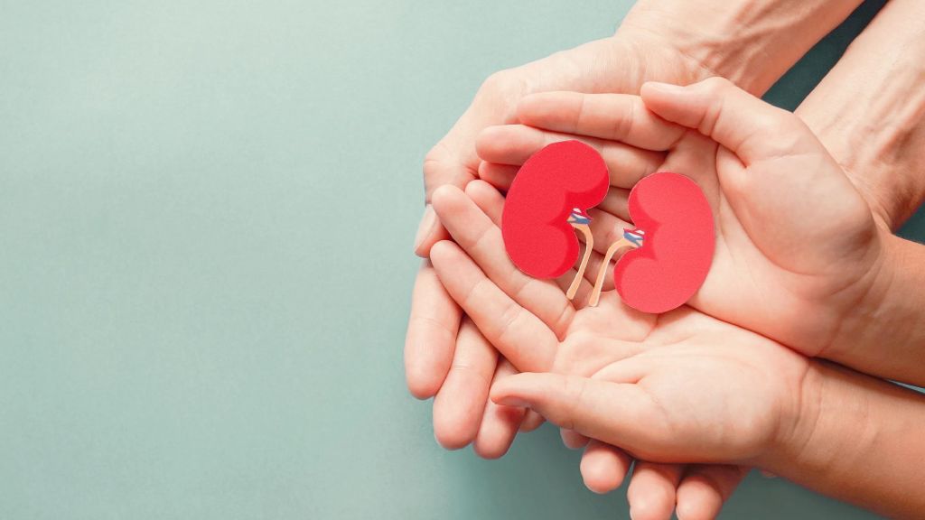 How to Protect Your Kidneys from Damage